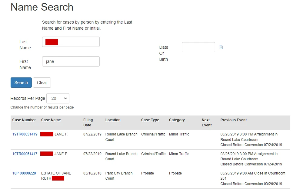 A screenshot of the Lake County Circuit Court's Public Access System shows sample search results listing the summary information of cases such as the case number, party name, case title, filed date, case type, case category, and previous event.