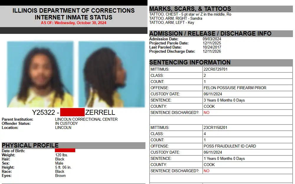 A screenshot of a sample Individual in Custody Search result provided by the Illinois Department of Corrections showing the inmate's mugshots, full name, physical profile, admission/release/discharge info, and sentencing information.